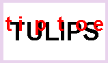  L I P S t i p t o e L I P S