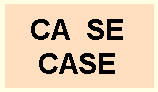 C A space S E written over C A S E